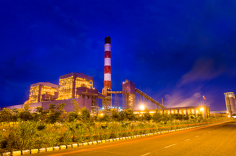 Kawai plant deals